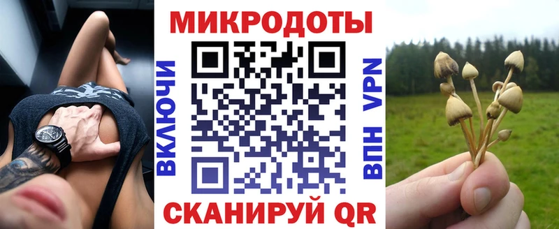mega ссылка  Чебоксары  Псилоцибиновые грибы Magic Shrooms  купить  